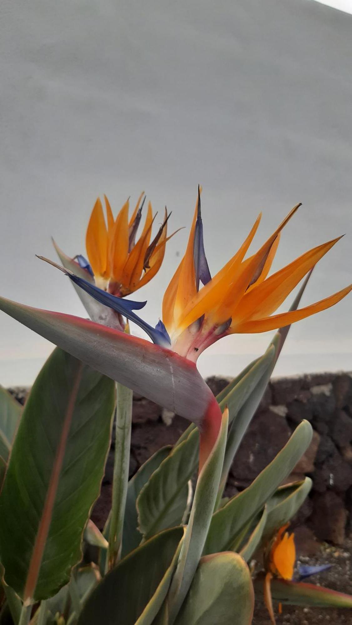 La Belle Vie Villa Famara Dış mekan fotoğraf