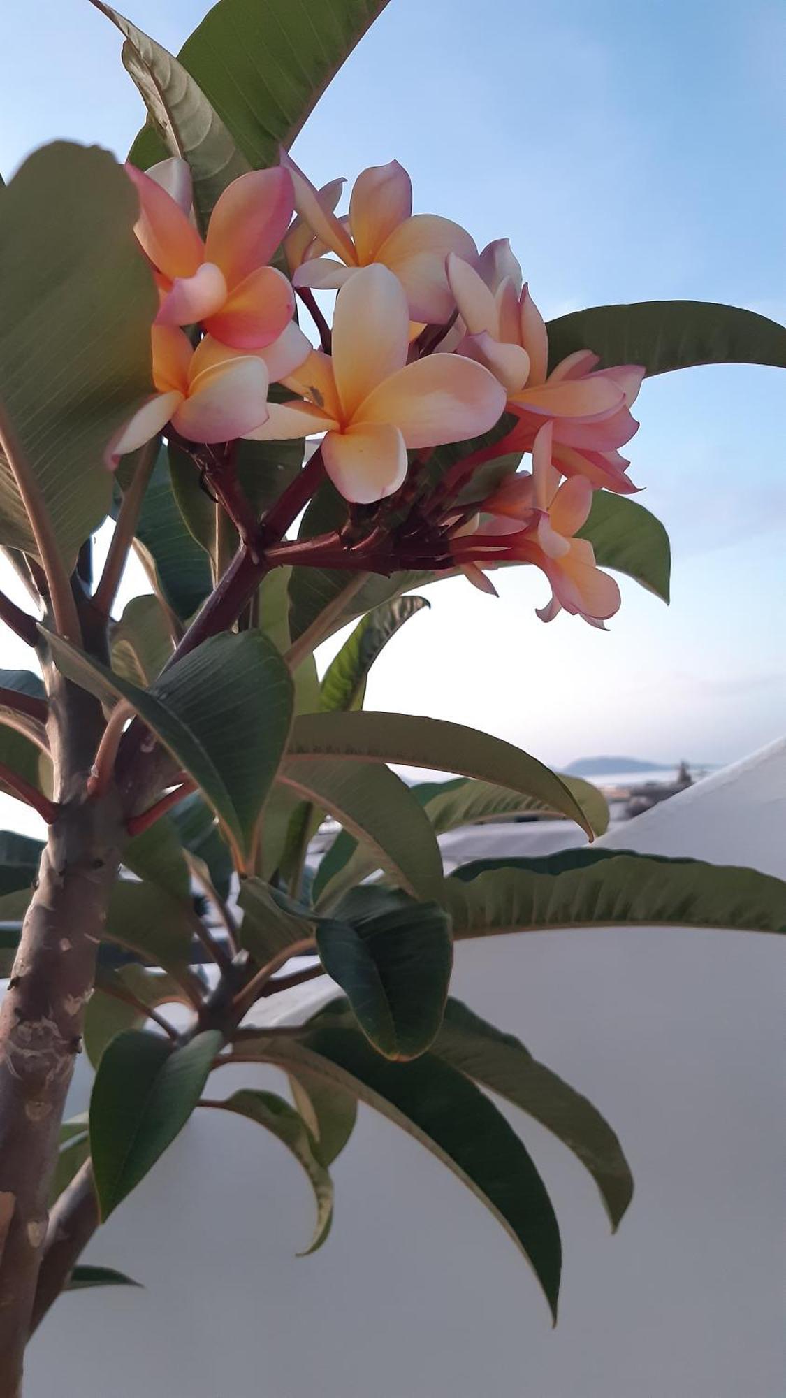 La Belle Vie Villa Famara Dış mekan fotoğraf